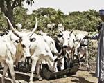 Farmers in Nigeria