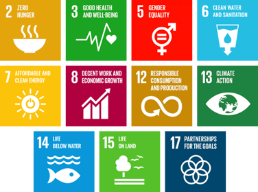 UN global goals of sustainable development diagram