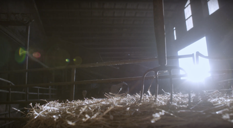 Close up of fork in hay