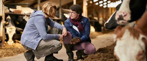 Program wspierania ulepszeń w gospodarstwie