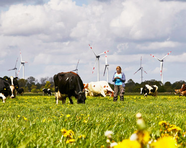 Erneuerbare Energien Birka-Thoeming Tetenhusen Schleswig-Holstein